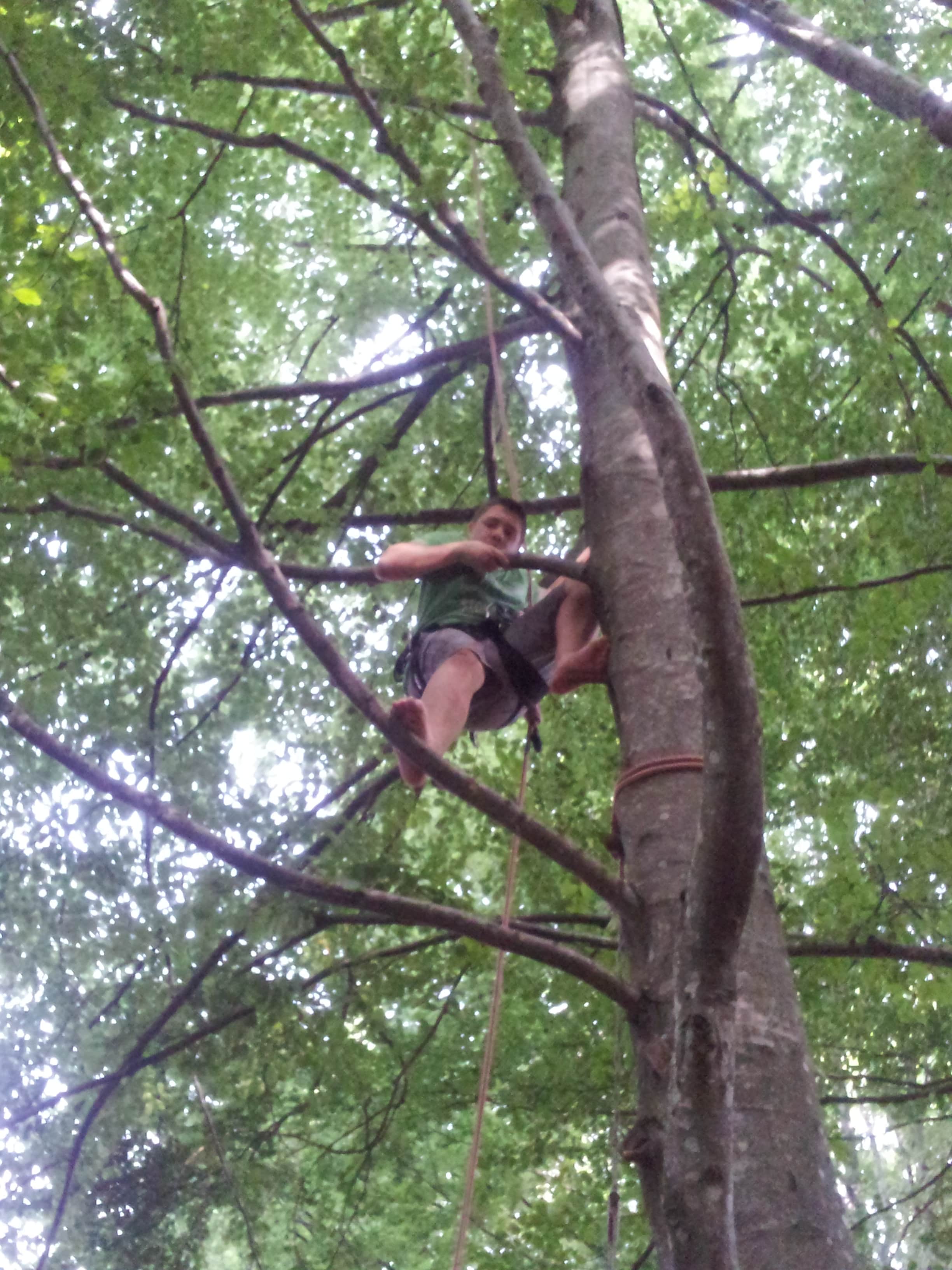 Participant en pleine ascension d'un arbre lors de l'atelier moulinette
