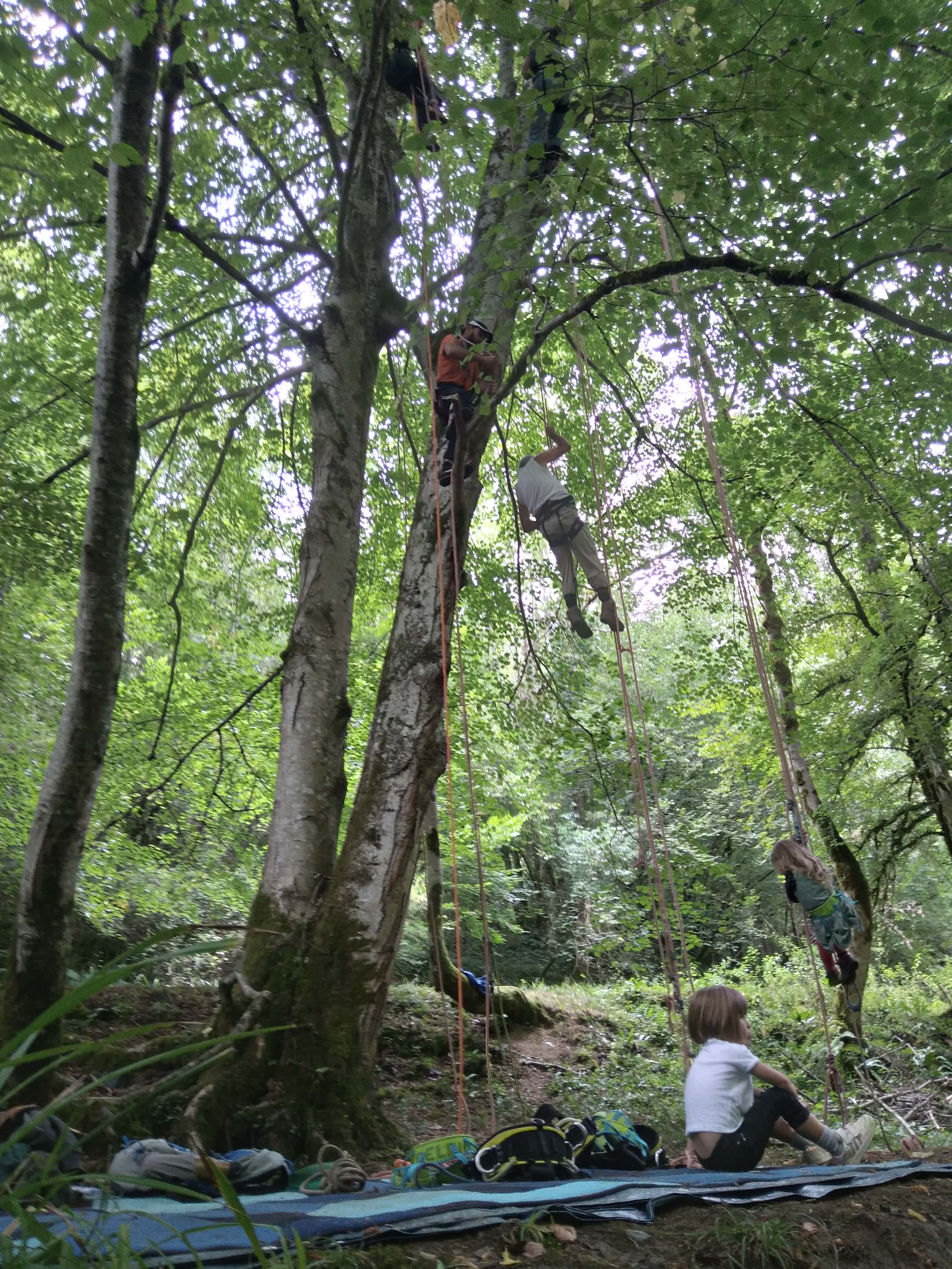 Vue en contre-plongée d'un participant sur une corde voyageuse dans la canopée