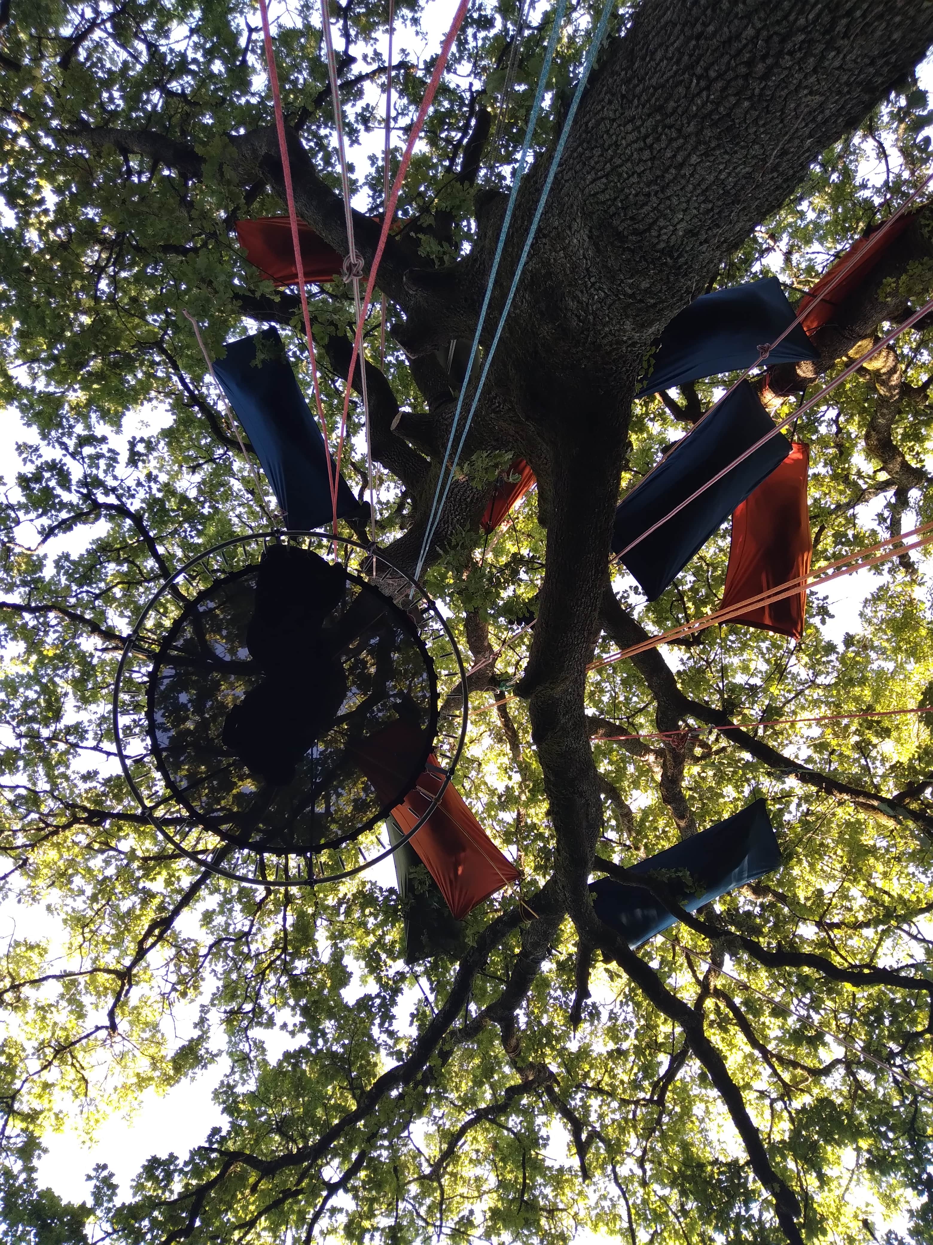 Vue depuis un hamac suspendu dans les arbres au coucher du soleil