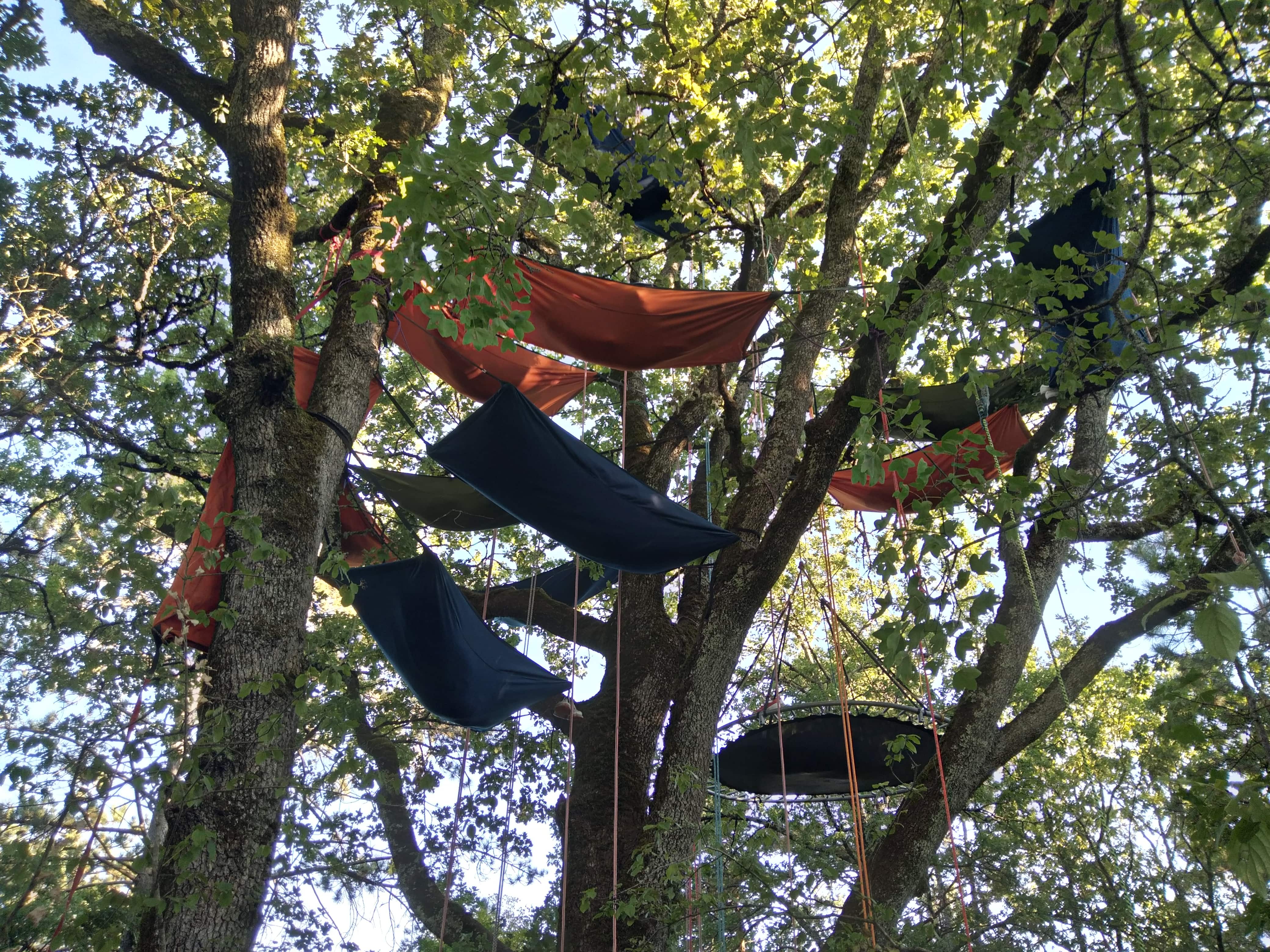 Installation d'un hamac perché en hauteur pour le bivouac