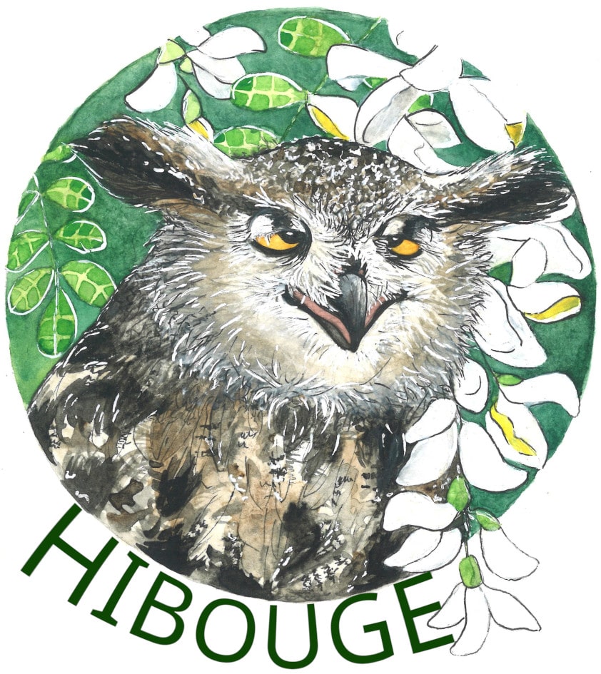 Logo Hibouge